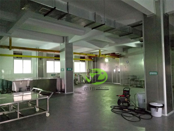 郴州福鵝食品小黄片真人视频車間裝修工程(圖9)