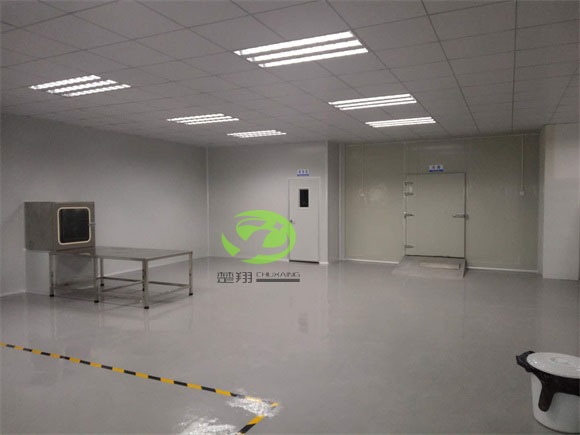 郴州福鵝食品小黄片真人视频車間裝修工程(圖7)