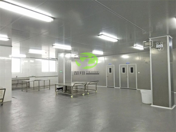 郴州福鵝食品小黄片真人视频車間裝修工程(圖3)