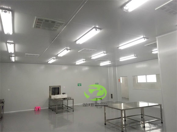 郴州福鵝食品小黄片真人视频車間裝修工程(圖4)