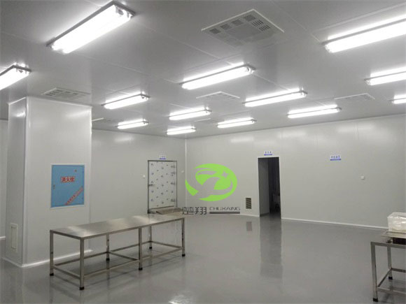 郴州福鵝食品小黄片真人视频車間裝修工程(圖5)